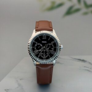 Fossill Champman - J737