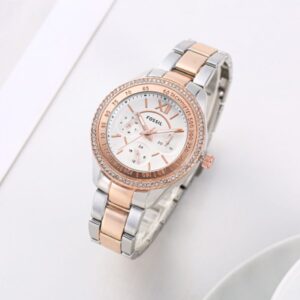 Fossiil Stella - J293